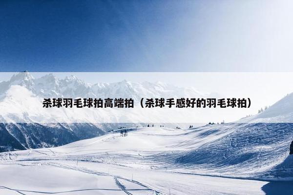 杀球羽毛球拍高端拍（杀球手感好的羽毛球拍）