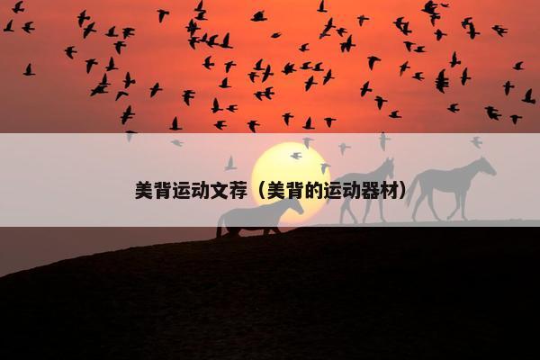 美背运动文荐（美背的运动器材）
