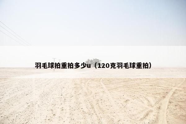 羽毛球拍重拍多少u（120克羽毛球重拍）