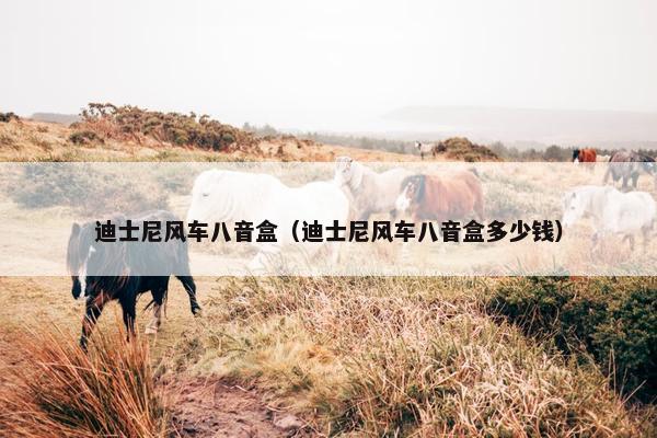 迪士尼风车八音盒（迪士尼风车八音盒多少钱）