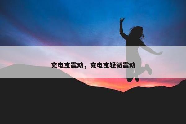 充电宝震动，充电宝轻微震动