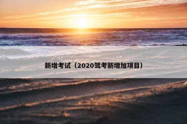 新增考试（2020驾考新增加项目）