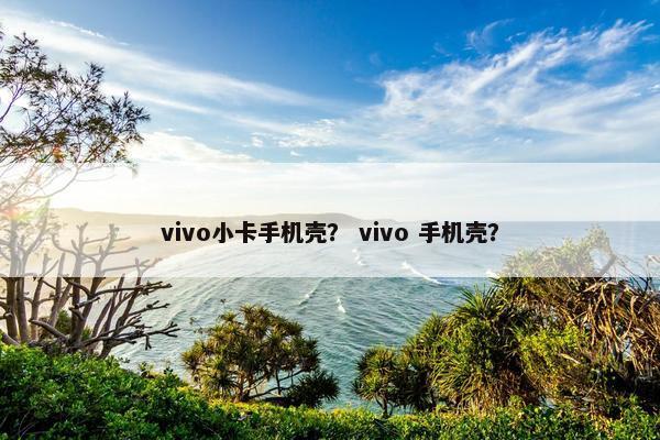 vivo小卡手机壳？ vivo 手机壳？