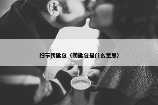 细节钥匙包（钥匙包是什么意思）
