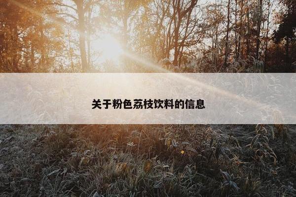 关于粉色荔枝饮料的信息