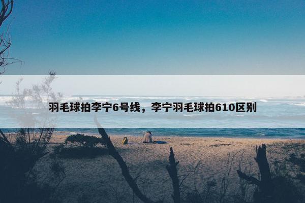 羽毛球拍李宁6号线，李宁羽毛球拍610区别