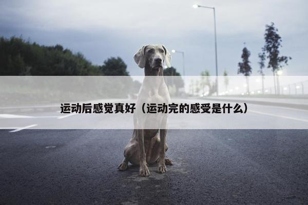 运动后感觉真好（运动完的感受是什么）