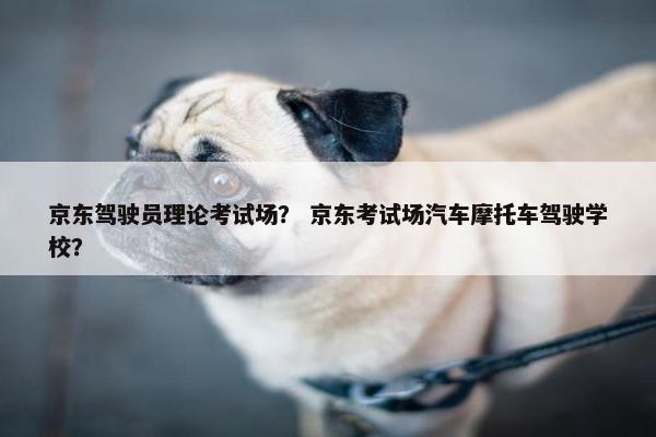 京东驾驶员理论考试场？ 京东考试场汽车摩托车驾驶学校？