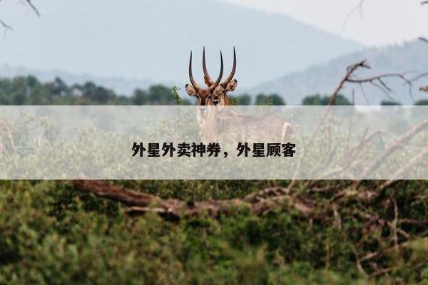 外星外卖神券，外星顾客