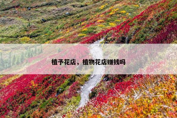 植予花店，植物花店赚钱吗