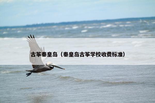 古筝秦皇岛(秦皇岛古筝学校收费标准) 古筝秦皇岛(秦皇岛古筝学校收费标准)