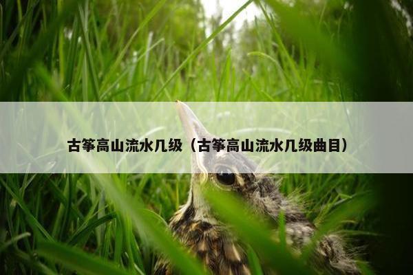古筝高山流水几级（古筝高山流水几级曲目）
