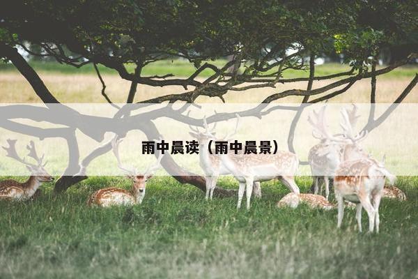 雨中晨读（雨中晨景）