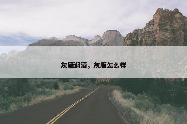 灰雁调酒，灰雁怎么样