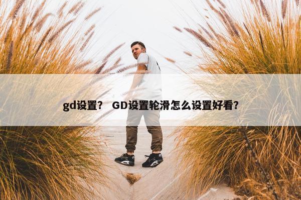 gd设置？ GD设置轮滑怎么设置好看？