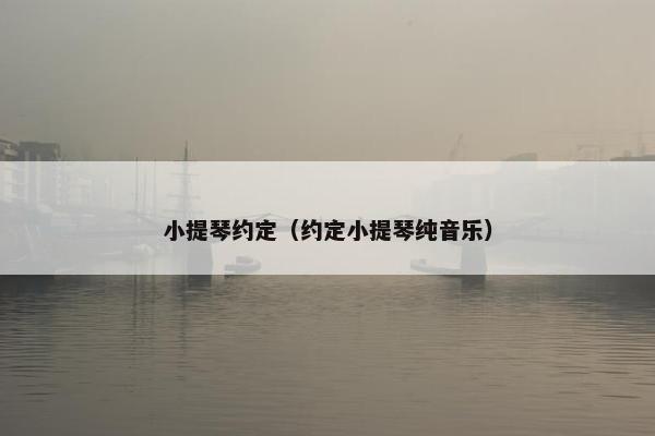 小提琴约定（约定小提琴纯音乐）