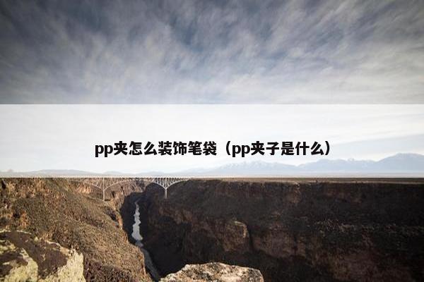 pp夹怎么装饰笔袋（pp夹子是什么）