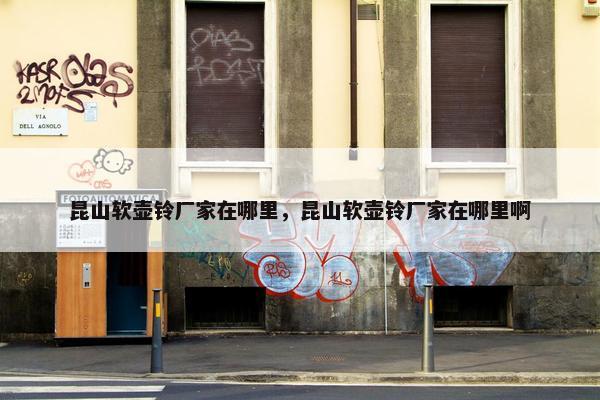 昆山软壶铃厂家在哪里，昆山软壶铃厂家在哪里啊