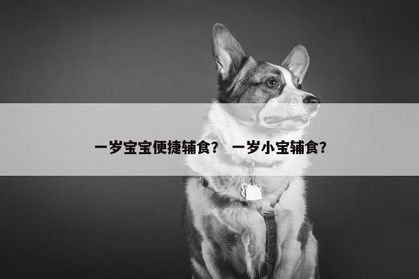一岁宝宝便捷辅食？ 一岁小宝辅食？