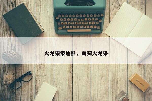 火龙果泰迪熊，萌狗火龙果