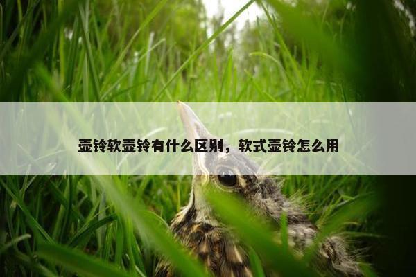 壶铃软壶铃有什么区别，软式壶铃怎么用