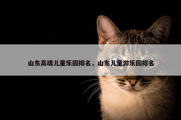 山东高端儿童乐园排名，山东儿童游乐园排名