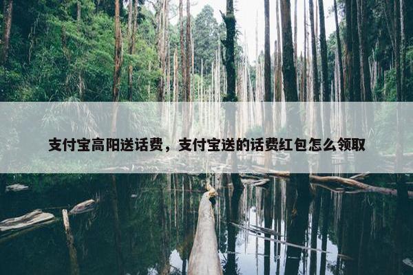 支付宝高阳送话费，支付宝送的话费红包怎么领取
