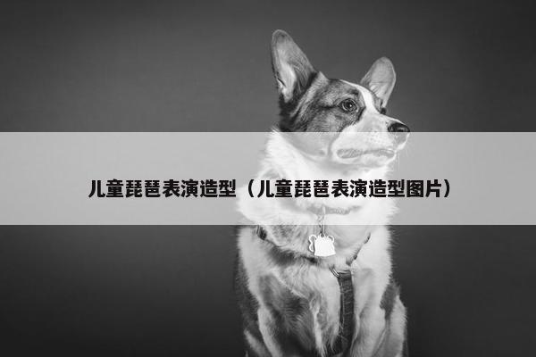 儿童琵琶表演造型（儿童琵琶表演造型图片）