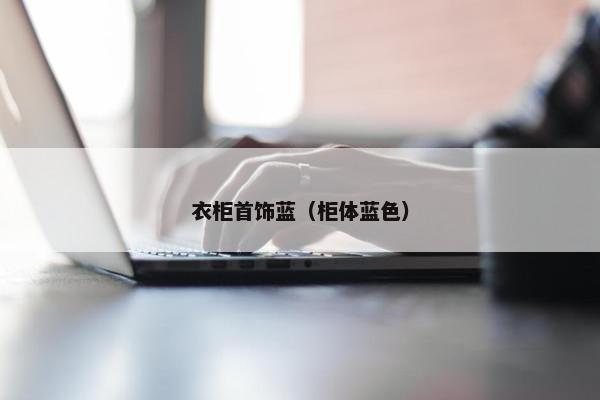 衣柜首饰蓝（柜体蓝色）