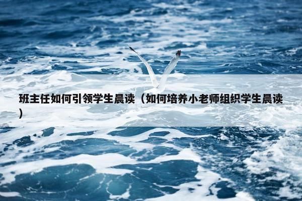 班主任如何引领学生晨读（如何培养小老师组织学生晨读）