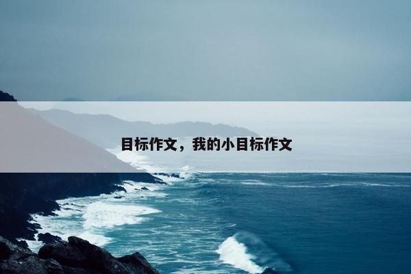 目标作文，我的小目标作文