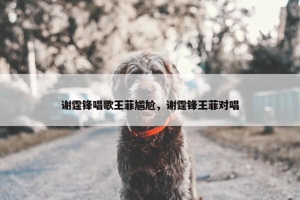 谢霆锋唱歌王菲尴尬，谢霆锋王菲对唱