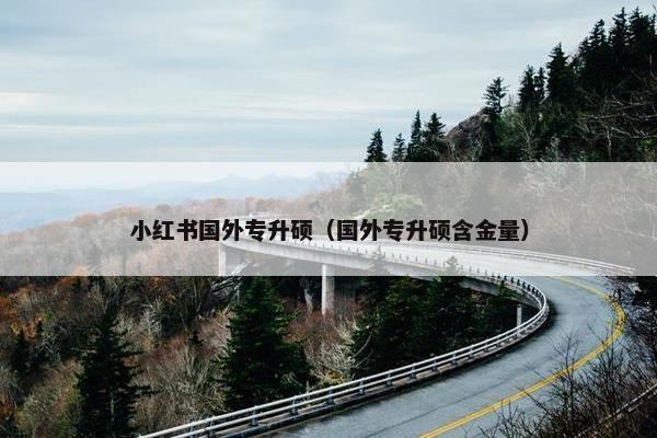 小红书国外专升硕（国外专升硕含金量）