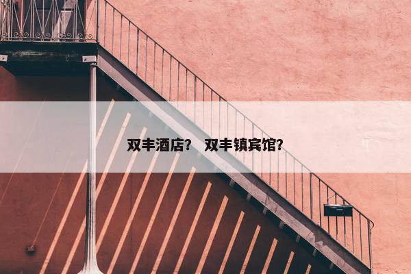 双丰酒店？ 双丰镇宾馆？