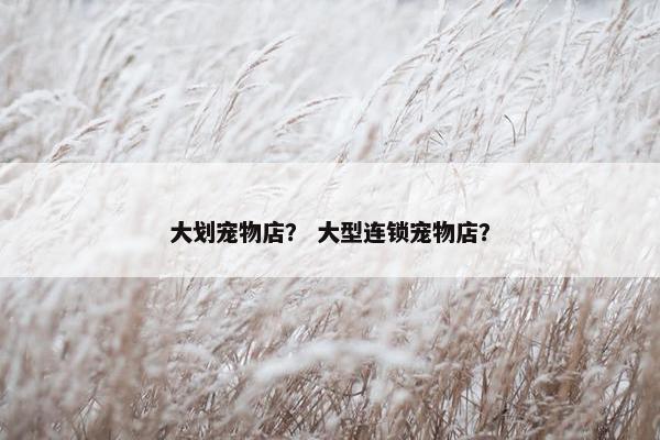 大划宠物店？ 大型连锁宠物店？