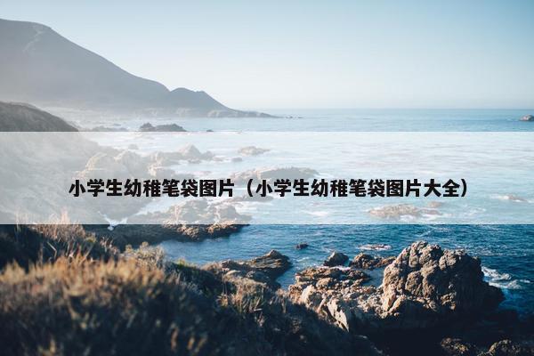 小学生幼稚笔袋图片（小学生幼稚笔袋图片大全）
