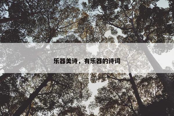 乐器美诗，有乐器的诗词