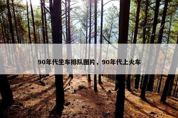 90年代坐车排队图片,90年代上火车 90年代坐车排队图片,90年代上火车