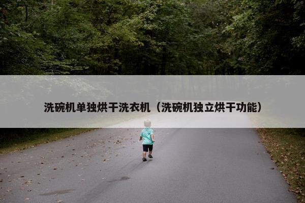 洗碗机单独烘干洗衣机(洗碗机独立烘干功能) 洗碗机单独烘干洗衣机(洗碗机独立烘干功能)
