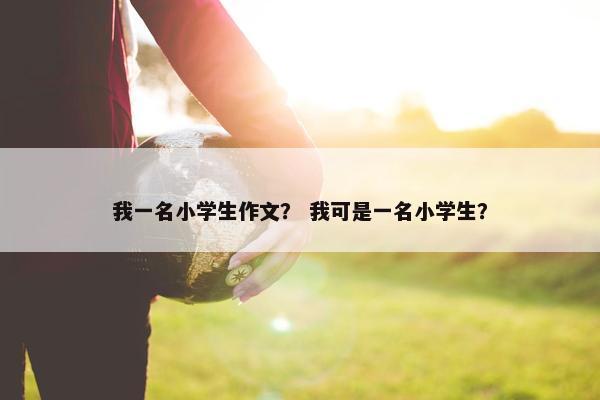 我一名小学生作文？ 我可是一名小学生？