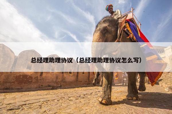 总经理助理协议（总经理助理协议怎么写）