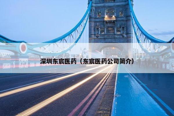 深圳东宸医药（东宸医药公司简介）