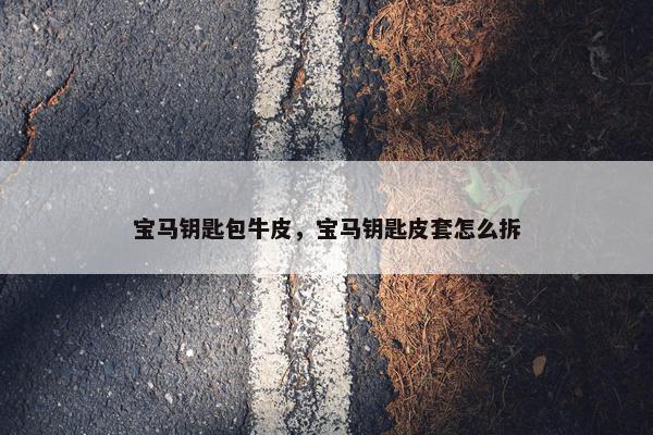 宝马钥匙包牛皮，宝马钥匙皮套怎么拆