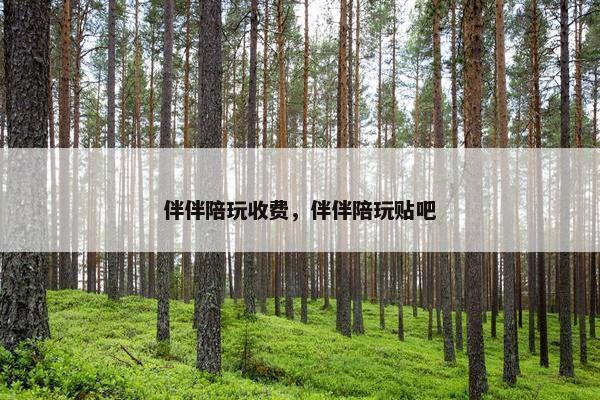 伴伴陪玩收费，伴伴陪玩贴吧