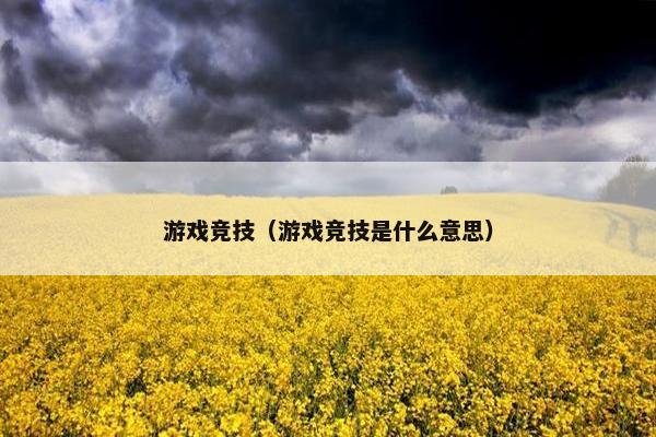 游戏竞技（游戏竞技是什么意思）