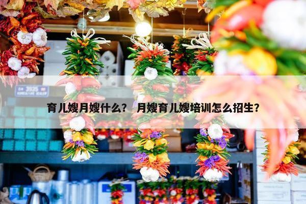 育儿嫂月嫂什么？ 月嫂育儿嫂培训怎么招生？
