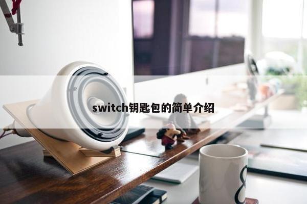 switch钥匙包的简单介绍