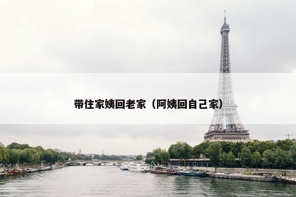 带住家姨回老家（阿姨回自己家）