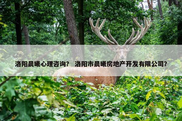 洛阳晨曦心理咨询？ 洛阳市晨曦房地产开发有限公司？