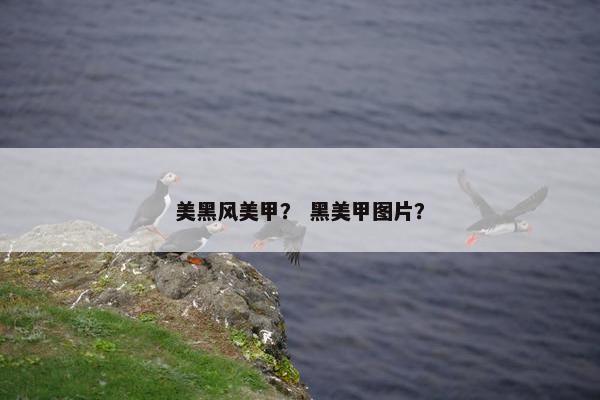 美黑风美甲？ 黑美甲图片？